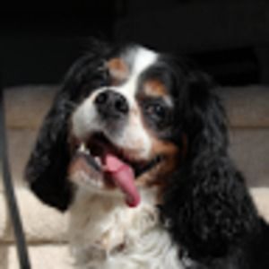 Meet your Posher, Aurora